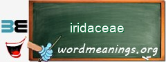 WordMeaning blackboard for iridaceae